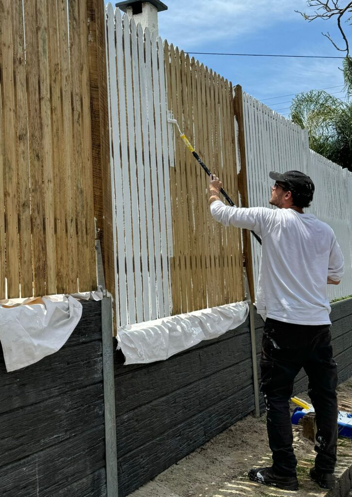 fence painting yaya